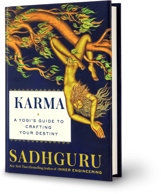 Karma: A Yogi's Guide to Crafting Your Destiny